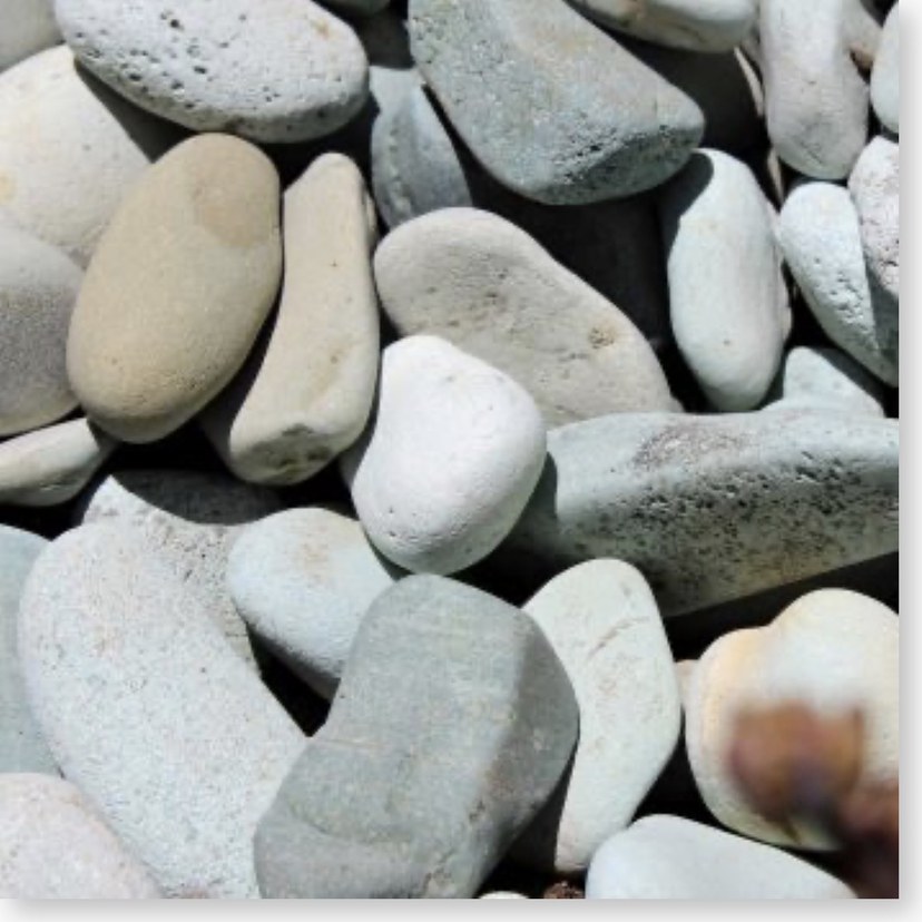 Caribbean Pebbles, 1/2 to 1 inch, close up