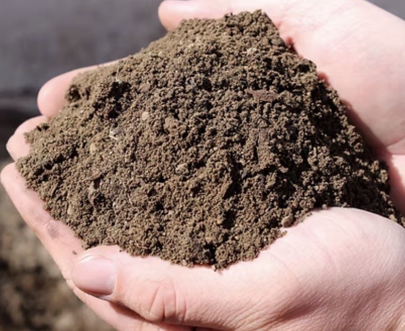 Dark premium organic compost held in a hand
