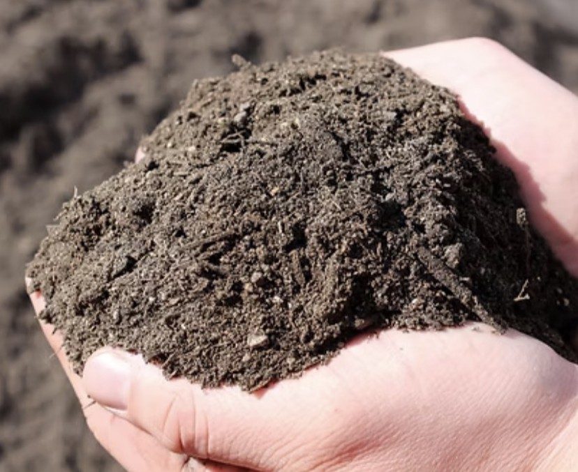 Dark rich garden soil blend held in a hand