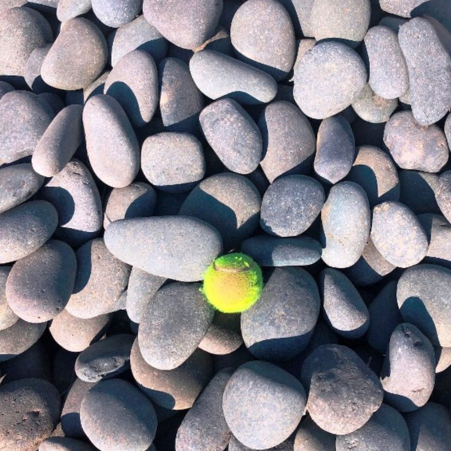 Mexican Beach Cobble, 3 to 5 inch, close up