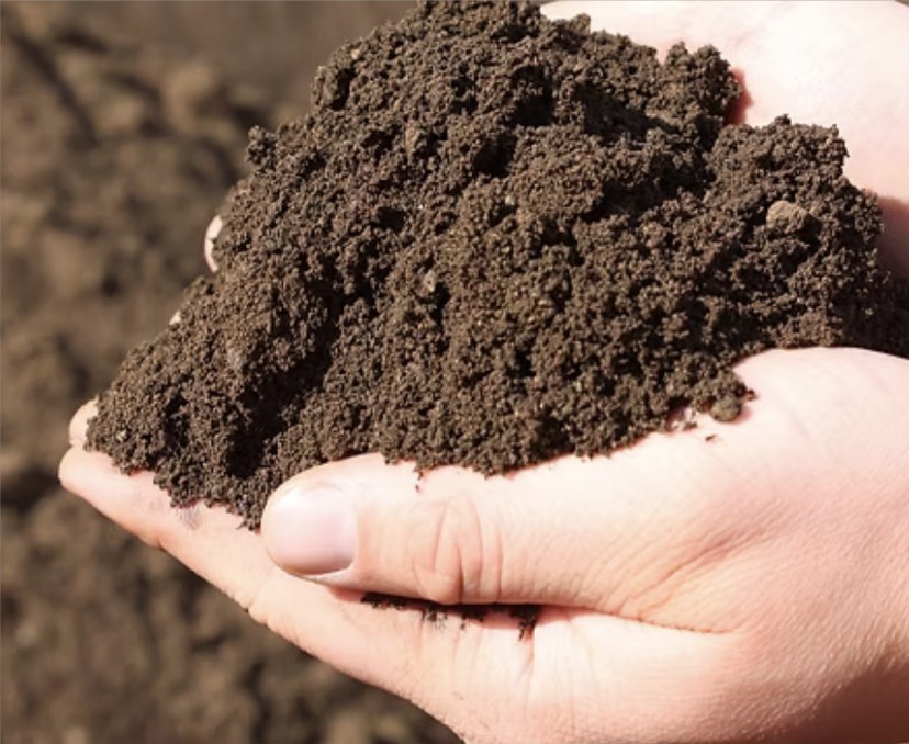 Premium topsoil held in a hand