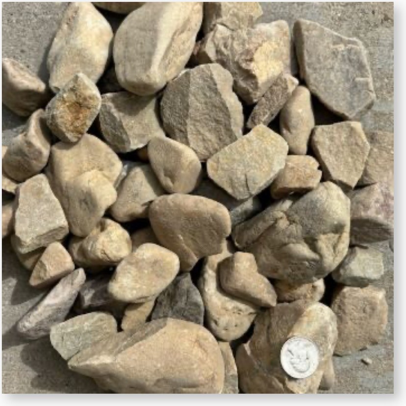 Western Hills Cobble, 2 to 3 inch, close up